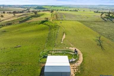 Farm For Sale - NSW - Boorowa - 2586 - EXPANSIVE RURAL ENTERPRISE. HIGH RAINFALL CATCHMENT  (Image 2)