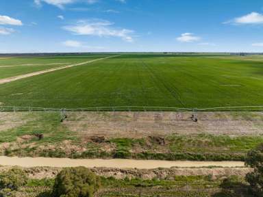 Farm For Sale - VIC - Myall - 3579 - Irrigated Cropping with Renewable Energy Potential  (Image 2)