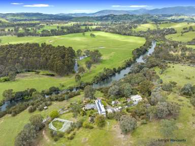 Farm For Sale - VIC - Acheron - 3714 - "Serenity" - A Remarkable Sanctuary with Goulburn River Frontage!  (Image 2)