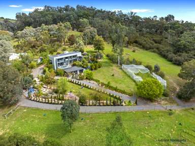 Farm For Sale - VIC - Acheron - 3714 - "Serenity" - A Remarkable Sanctuary with Goulburn River Frontage!  (Image 2)