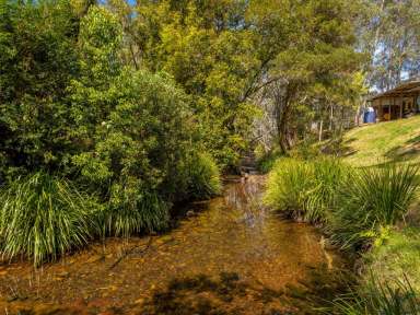 Farm For Sale - NSW - Hillville - 2430 - NATURAL PARADISE BACKING BO BO CREEK  (Image 2)