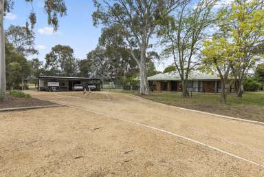 Farm For Sale - VIC - Cobram East - 3644 - Choice Cobram East Lifestyle Property  (Image 2)