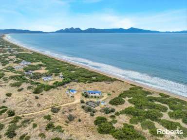 Farm For Sale - TAS - Dolphin Sands - 7190 - Idyllic coastal retreat with private access to Nine Mile Beach  (Image 2)