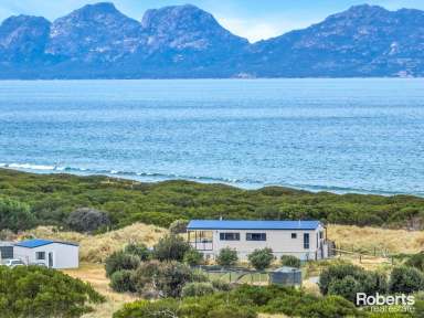 Farm For Sale - TAS - Dolphin Sands - 7190 - Idyllic coastal retreat with Freycinet Views - Nine Mile Beach  (Image 2)