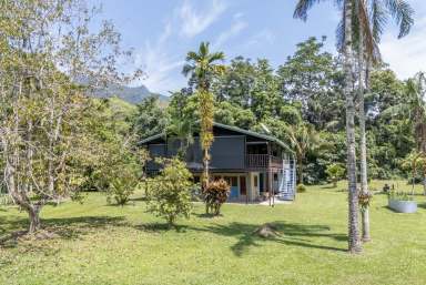 Farm For Sale - QLD - Mossman - 4873 - PARADISE IS A PLACE ON EARTH - 6 ACRES OF HEAVEN OFFERING SUSTAINABLE FAMILY LIVING  (Image 2)