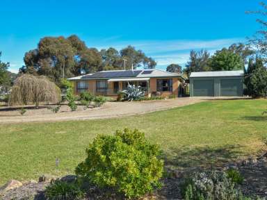 Farm For Sale - NSW - Young - 2594 - Brick Veneer Home on 4.9acs* With Plenty Of Shedding A Bore & Town Water  (Image 2)