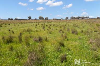 Farm Auction - NSW - Dunedoo - 2844 - 'WERRIWA' - WELL LOCATED FARMING AND GRAZING  (Image 2)