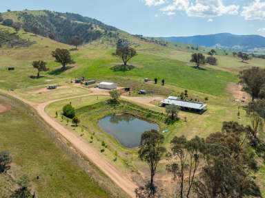 Farm For Sale - VIC - Swifts Creek - 3896 - A SPECIAL HIGH COUNTRY FARMLET  (Image 2)