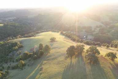 Farm For Sale - NSW - Eureka - 2480 - Build your dream lifestyle home in the hinterland of Byron Bay  (Image 2)