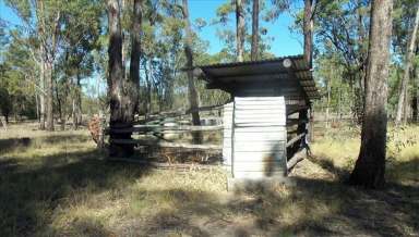 Farm For Sale - QLD - Goranba - 4421 - 463-Acre Rural Retreat in Tranquil Goranba  (Image 2)