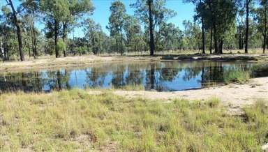 Farm For Sale - QLD - Goranba - 4421 - 463-Acre Rural Retreat in Tranquil Goranba  (Image 2)