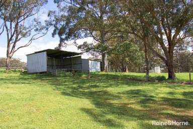 Farm For Sale - WA - Kordabup - 6333 - Great Southern Land  (Image 2)