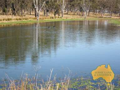 Farm For Sale - QLD - Benair - 4610 - Lifestyle, Livestock, Farming - Water Security  (Image 2)