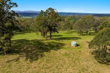 Farm For Sale - NSW - Spring Grove - 2470 - A Perfect Balance of Luxury, Functionality, and Potential  (Image 2)