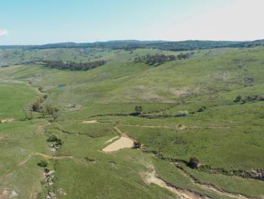 Farm For Sale - NSW - Browns Creek - 2799 - Idyllic Lifestyle Property  (Image 2)