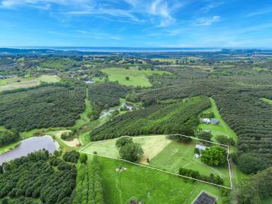 Farm For Sale - NSW - Brooklet - 2479 - Charming Character Home On Just Under 5 Acres with Rural Views  (Image 2)