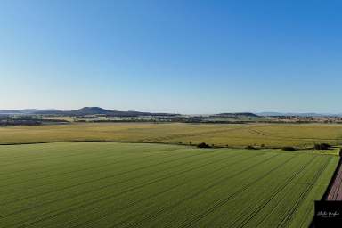 Farm For Sale - NSW - Breeza - 2381 - LIVERPOOL PLAINS BLACK SOIL OPPORTUNITY  (Image 2)