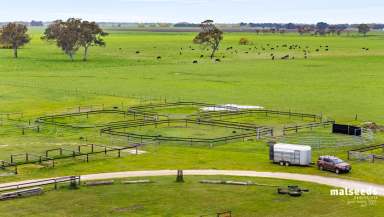 Farm For Sale - SA - Tarpeena - 5277 - 140 ACRES approx over 2 Titles - Horse enthusiasts' dream property or do you need a MASSIVE shed?  (Image 2)