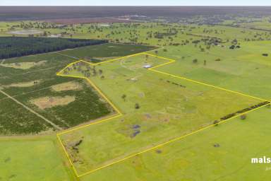 Farm For Sale - SA - Tarpeena - 5277 - Horse enthusiasts' dream property or do you need a MASSIVE shed?  (Image 2)