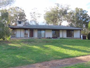 Farm For Sale - NSW - Scone - 2337 - Glenston On The River  (Image 2)