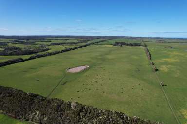 Farm For Sale - TAS - Loorana - 7256 - King Island Grazing  (Image 2)