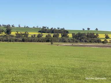 Farm For Sale - WA - Bokal - 6392 - Ideal hobby farm, weekend retreat, investment block in a Central Location!  (Image 2)