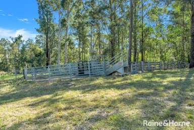 Farm For Sale - NSW - Mororo - 2469 - Rural Coastal Living at its Best  (Image 2)