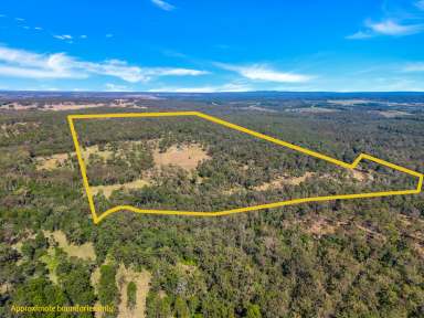 Farm For Sale - NSW - Lawrence - 2460 - Farm Acreage With Waterfront  (Image 2)