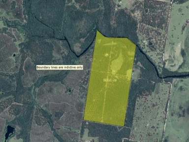 Farm For Sale - NSW - Lawrence - 2460 - Farm Acreage With Waterfront  (Image 2)