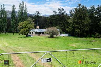 Farm Auction - NSW - Buckenbowra - 2536 - Valley Of Dreams!  (Image 2)