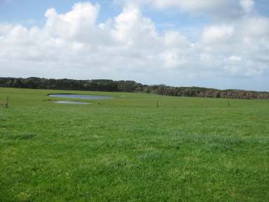 Farm Auction - TAS - Loorana - 7256 - Tin Mine Road, King Island  (Image 2)