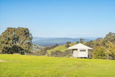 Farm For Sale - VIC - Huon Creek - 3691 - Ultimate farming, camping, lifestyle retreat  (Image 2)