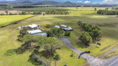 Farm For Sale - QLD - Whitsundays - 4802 - Freehold Pet Resort  (Image 2)