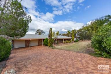 Farm For Sale - WA - Northam - 6401 - Spacious 4 Bedroom Home on 2.98 Acres in Northam  (Image 2)