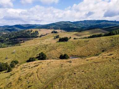 Farm Sold - VIC - Madalya - 3971 - Diverse Rural Development Opportunity  (Image 2)