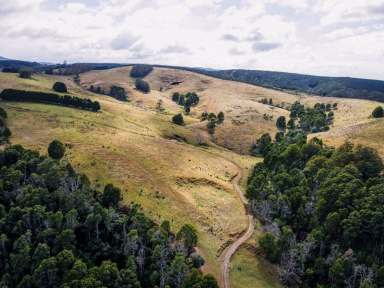 Farm Sold - VIC - Madalya - 3971 - Diverse Rural Development Opportunity  (Image 2)