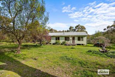 Farm For Sale - VIC - Elmhurst - 3469 - Affordable country living on small acreage  (Image 2)