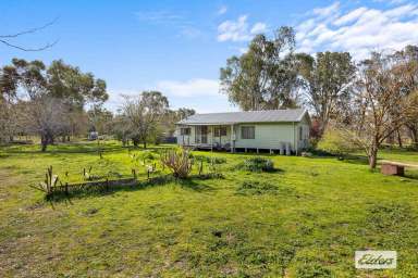 Farm For Sale - VIC - Elmhurst - 3469 - Affordable country living on small acreage  (Image 2)