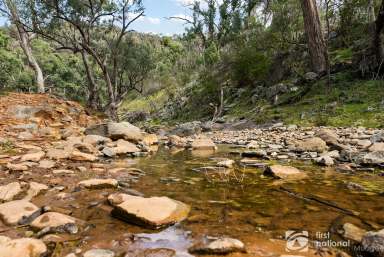 Farm For Sale - NSW - Mudgee - 2850 - ULTIMATE ESCAPE WITH EXCELLENT SHED!  (Image 2)