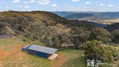 Farm For Sale - NSW - Mudgee - 2850 - ULTIMATE ESCAPE WITH EXCELLENT SHED!  (Image 2)