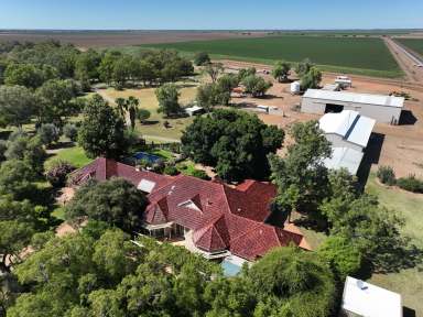 Farm Sold - NSW - Narrabri - 2390 - Premium Irrigation with Water Security  (Image 2)