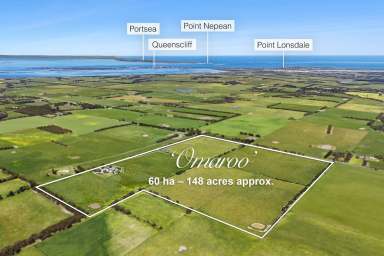 Farm For Sale - VIC - Drysdale - 3222 - 'Omaroo' - A Most Enviable Coastal Rural Retreat  (Image 2)