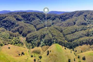 Farm For Sale - NSW - Belbora - 2422 - Timberrr!!!  (Image 2)