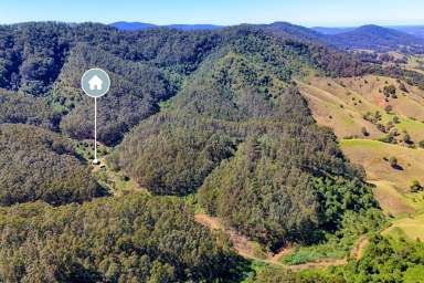 Farm For Sale - NSW - Belbora - 2422 - Timberrr!!!  (Image 2)