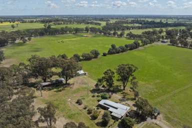 Farm For Sale - VIC - Earlston - 3669 - Elevated Residence And Stables, A Productive And Improved Farm  (Image 2)