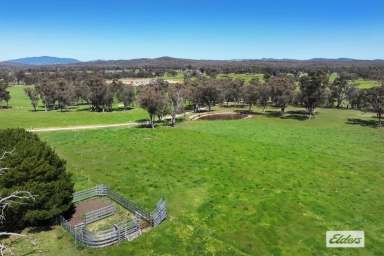 Farm For Sale - VIC - Axe Creek - 3551 - FERTILE LIFESTYLE ALLOTMENT WITH VIEWS OUT TO MOUNT ALEXANDER  (Image 2)