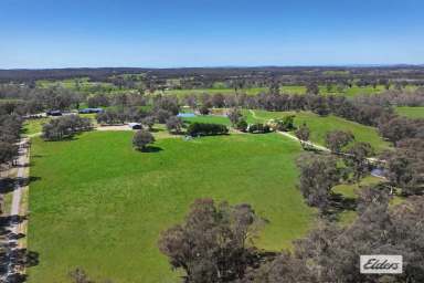 Farm For Sale - VIC - Axe Creek - 3551 - FERTILE LIFESTYLE ALLOTMENT WITH VIEWS OUT TO MOUNT ALEXANDER  (Image 2)