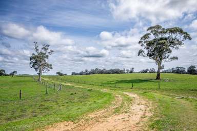 Farm Auction - SA - Mundulla - 5270 - BLACK HILL  (Image 2)