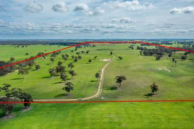 Farm Auction - SA - Mundulla - 5270 - BLACK HILL  (Image 2)