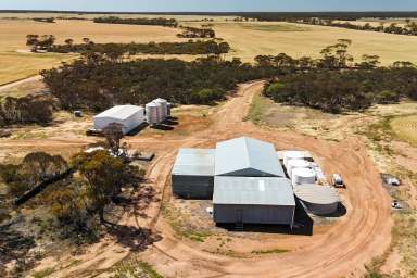 Farm For Sale - WA - Hyden - 6359 - YILGARNY - 3279 Calzoni Road, West Holleton  (Image 2)